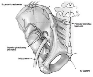 Bone Graft Harvest | Barrow Neurological Institute