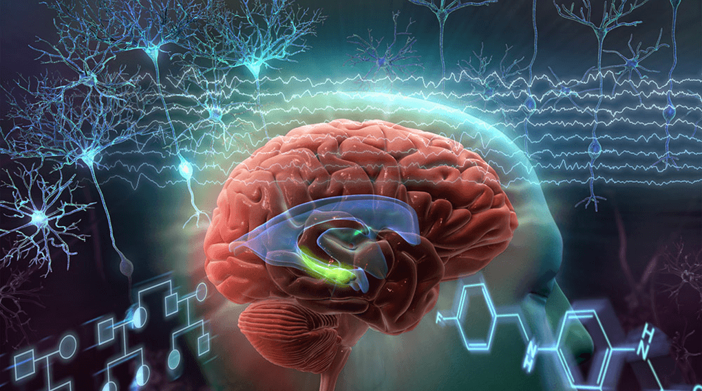 barrow neuroscience illustration