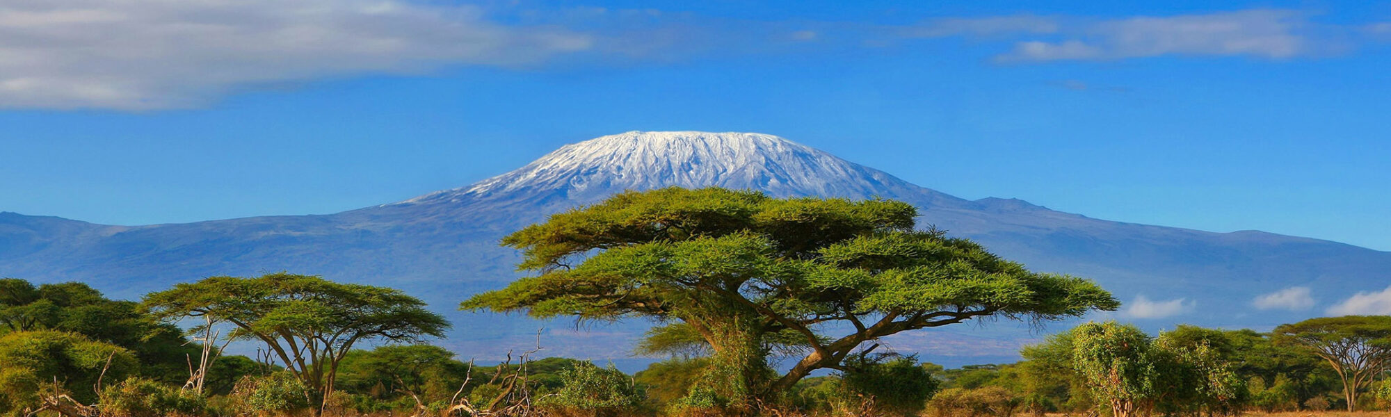 landscape view of mount kilimanjaro in tanzania